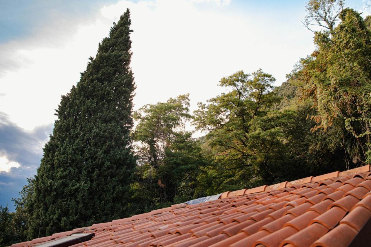 Villa Bertacchi - Inside And Out Комо Экстерьер фото